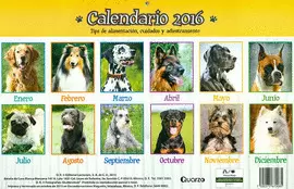 CALENDARIO PERROS 2016