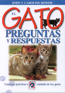 GATO PREGUNTAS Y RESPUESTAS