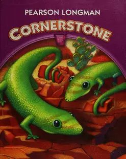 LONGMAN CORNERSTONE 3