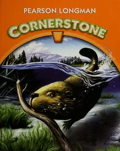 LONGMAN CORNERSTONE 4