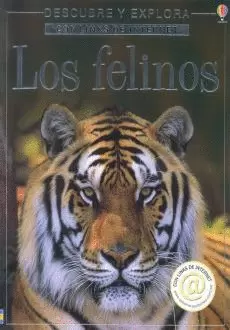 FELINOS, LOS  CON LINKS DE INTERNET