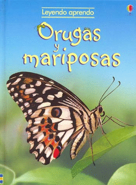 ORUGAS Y MARIPOSAS