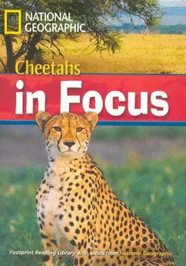 CHEETAHS IN FOCUS