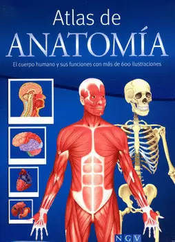 ATLAS DE ANATOMÍA