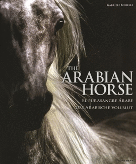 FOLIO THE ARABIAN HORSE