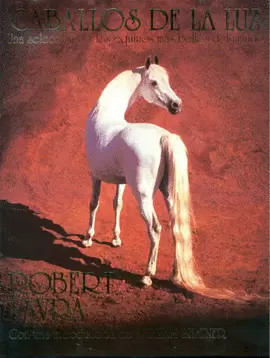 CABALLOS DE LA LUZ