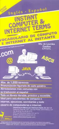 INSTANT COMPUTERS TERMS