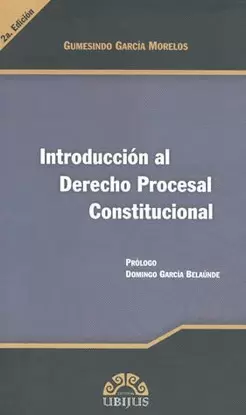INTRODUCCION AL DERECHO PROCESAL CONSTITUCIONAL