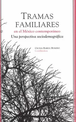 TRAMAS FAMILIARES EN EL MEXICO CONTEMPORANEO
