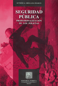 SEGURIDAD PUBLICA.  PROFESIONALIZACION DE LOS POLICIAS