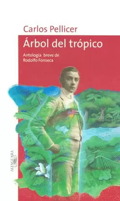 ARBOL DEL TROPICO