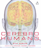 EL CEREBRO HUMANO