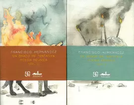 EN GRADO DE TENTATIVA. POESIA REUNIDA / VOL. I Y II