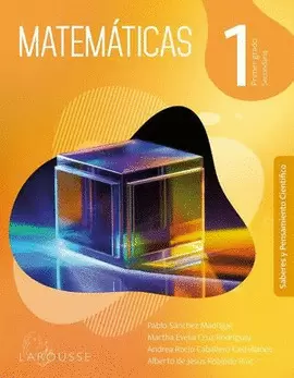 MATEMATICAS 1 NEM