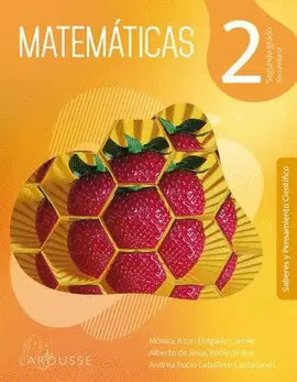 MATEMATICAS 2 NEM