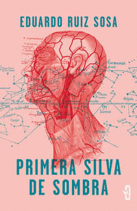 PRIMERA SILVA DE SOMBRA