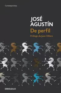DE PERFIL