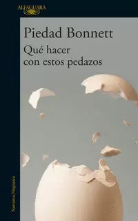 QUÉ HACER CON ESTOS PEDAZOS