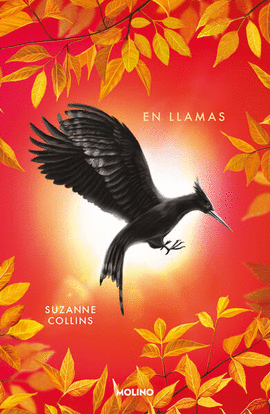 LOS JUEGOS DEL HAMBRE 2 - EN LLAMAS