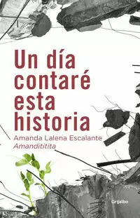 UN DÍA CONTARÉ ESTA HISTORIA