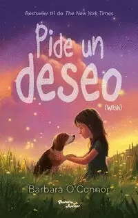 PIDE UN DESEO (WISH) SPANISH EDITION