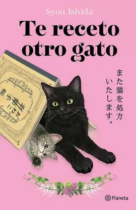TE RECETO OTRO GATO