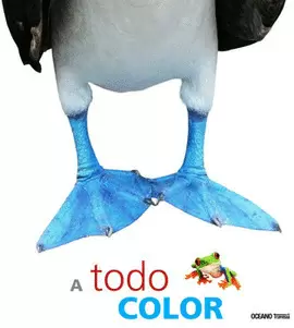 A TODO COLOR