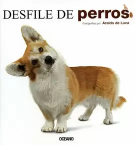 DESFILE DE PERROS