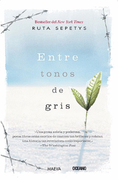 ENTRE TONOS DE GRIS