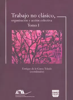TRABAJO NO CLASICO ORGANIZACION Y ACCION COLECTIVA 1
