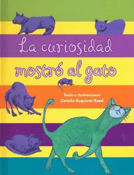 LA CURIOSIDAD MOSTRO AL GATO