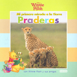 PRADERAS CON WINNIE POOH Y SUS AMIGOS