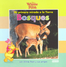 BOSQUES CON WINNIE POOH Y SUS AMIGOS