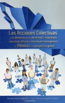 ACCIONES COLECTIVAS Y LA DEFENSA DE LOS DERECHOS E INTERESES COLECTIVOS DIFUSOS E INDIVIDUALES HOMOG