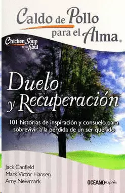 CALDO DE POLLO PARA EL ALMA