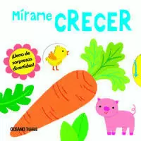 MI PEQUEÑO MUNDO