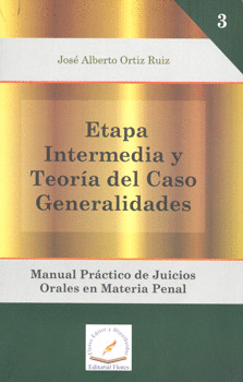 ETAPA INTERMEDIA Y TEORÍA DEL CASO GENERALIDADES