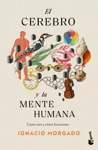 EL CEREBRO Y LA MENTE HUMANA