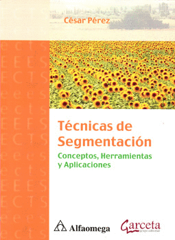 TECNICAS DE SEGMENTACION