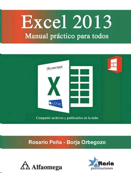 EXCEL 2013