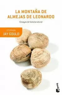 LA MONTAÑA DE ALMEJAS DE LEONARDO