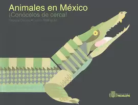 ANIMALES EN MÉXICO CONOCELOS DE CERCA