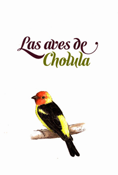 LAS AVES DE CHOLULA