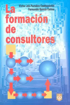 LA FORMACION DE CONSULTORES