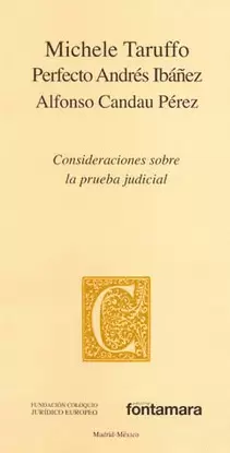 CONSIDERACIONES SOBRE LA PRUEBA JUDICIAL