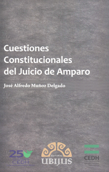 CUESTIONES CONSTITUCIONALES DEL JUICIO DE AMPARO