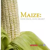 MAIZE: OUR FACE, OUR HEART
