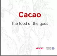CACAO. THE FOOD OF THE GODS