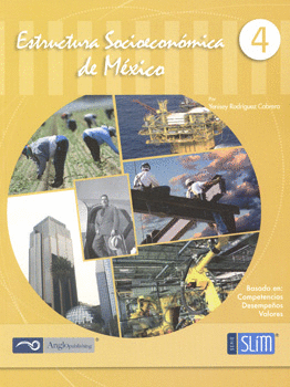 ESTRUCTURA SOCIOECONOMICA DE MEXICO 4