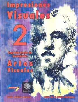 IMPRESIONES VISUALES 2 SECUNDARIA